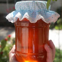 عسل کنار مرغوب محصول فارس (یک کیلو)