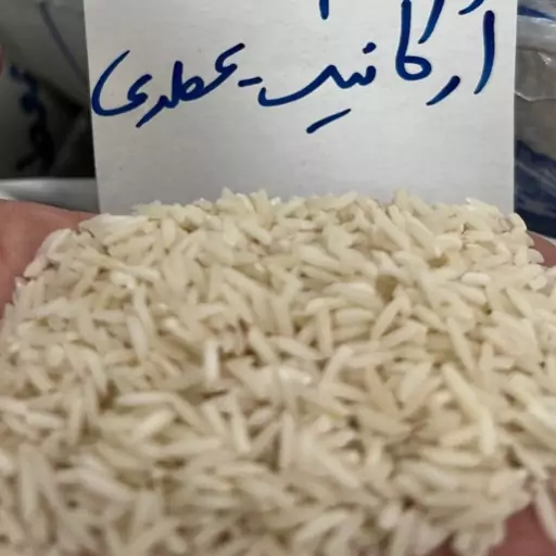 برنج سالاری ارگانیک فوق ممتاز (عطری)