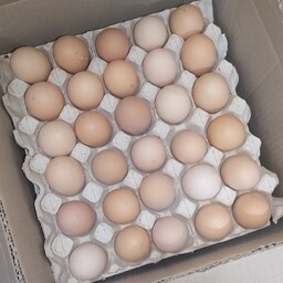 تخم مرغ محلی گلپایگان