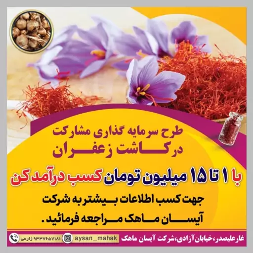 پیاز زعفران طرح مشارکت کاشت زعفران در زمین کشاورزی(پیشنهاد غرفه دار)