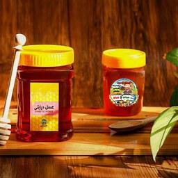 عسل دیابتی ممتاز حیات و نشاط (1000گرم)