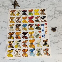 برچسب آموزشی حیوانات پروانه ها (کیفیت و چسبندگی عالی) 