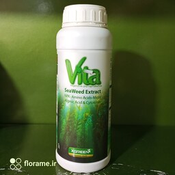 کود جلبک دریایی ویتا ایکس گرین یک لیتری( vita seaweed extract )