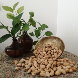 بادام سفید سامان سبز(500 گرمی) 
