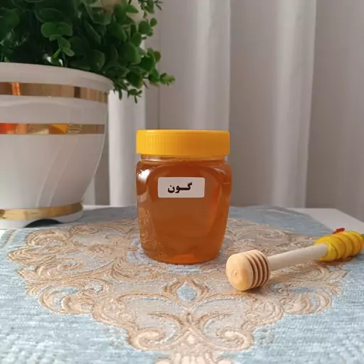 عسل گون طبیعی  نیم کیلویی محیصآ (نیمه تغذیه)