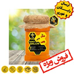 عسل گون طبیعی بالچی (1 کیلوگرم)(ارسال رایگان و فوری)(خرید مستقیم زنبوردار نمونه )