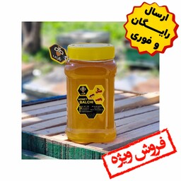 عسل گون طبیعی بالچی (1 کیلوگرم)(ارسال رایگان و فوری)(خرید مستقیم زنبوردار نمونه )