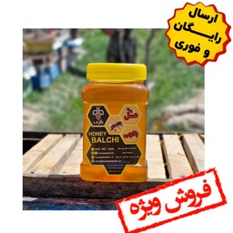 عسل طبیعی ممتاز بالچی (3 کیلوگرم) (خرید از زنبوردار نمونه و ارسال رایگان)