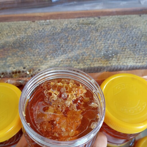 شهد عسل طبیعی موم دار (500گرمی)