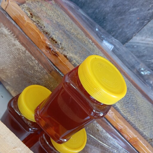 شهد عسل طبیعی (یک کیلو گرمی)