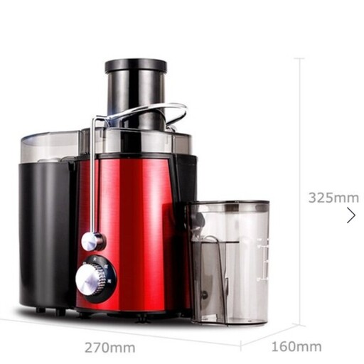 آبمیوه گیری تک کاره راف juice extractor RAF