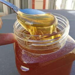 عسل شهد 1 کیلویی تهیه شده از گرده افشانی های دامنه بزقوش.