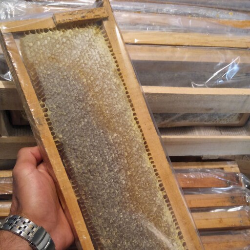 عسل طبیعی باموم،گرده افشانی دامنه بزقوش( ظرف های 1 کیلویی)