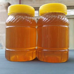 پک دو عددی عسل شهد گون جمعا 2 کیلو تهیه شده از گرده افشانی های دامنه بزقوش.