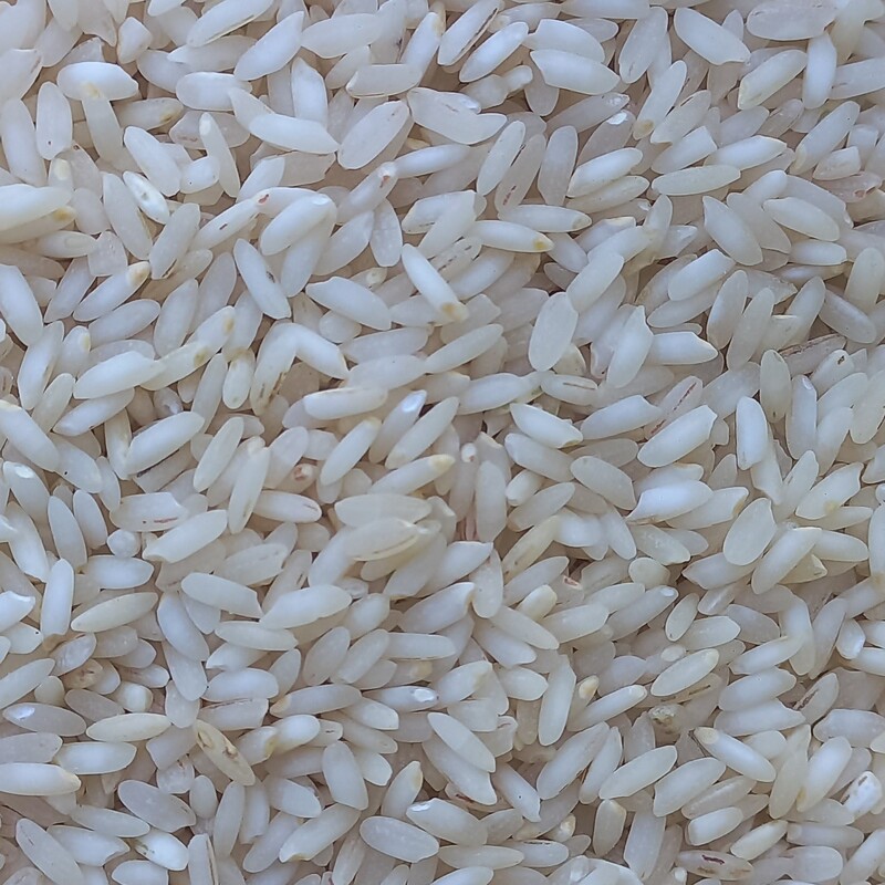 برنج عنبربو از بهترین شالیزارهای خوزستان خوش پخت و معطر (10کیلویی)