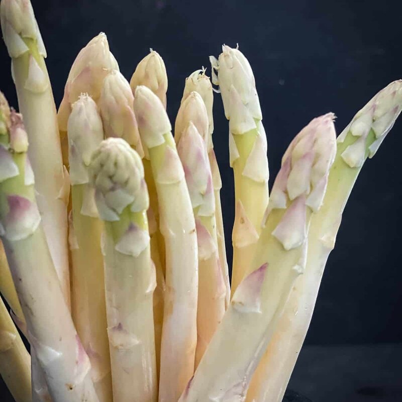 بذر گیاه مارچوبه سفید یا آسپاراگوس سفید - White Asparagus Seed 