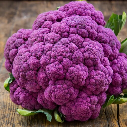 بذر گیاه گل کلم بنفش رقم کاتانس - Cauliflower Violet Catanese