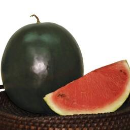 بذر هندوانه سیاه  یک بسته 