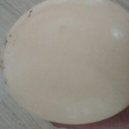 تخم شترمرغ خوراکی