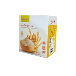 پودر جوانه گندم بین-استار-25 ساشه ای