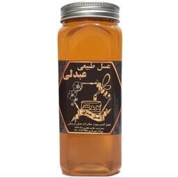 عسل طبیعی چهل گیاه عبدلی - 1050 گرم
