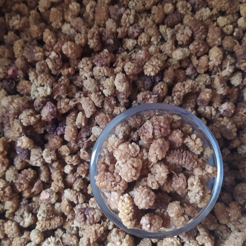 توت خشک ارگانیک  خوشطعم نرم و  شیرین (10کیلو)  محصول  کوهای کردستان کیفیت عالی 