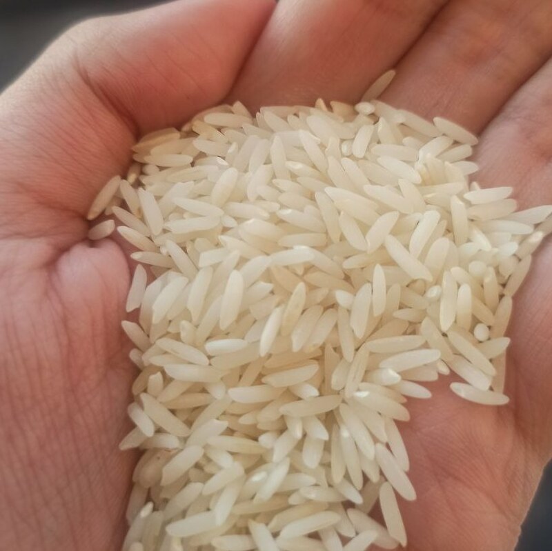 برنج هاشمی ممتاز  (10 کیلویی)