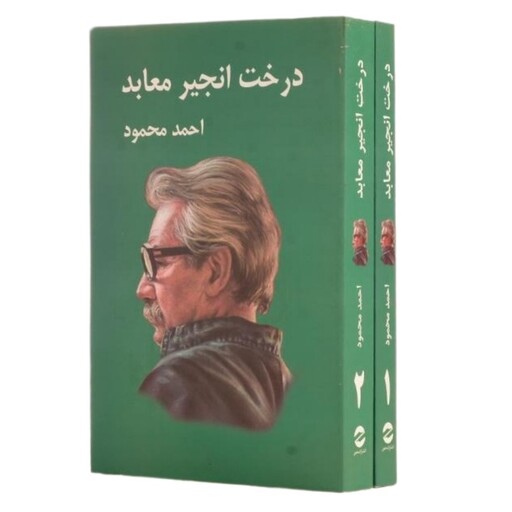  کتاب کتاب درخت انجیر معابد -2 جلدی( احمد محمود) انتشارات معین