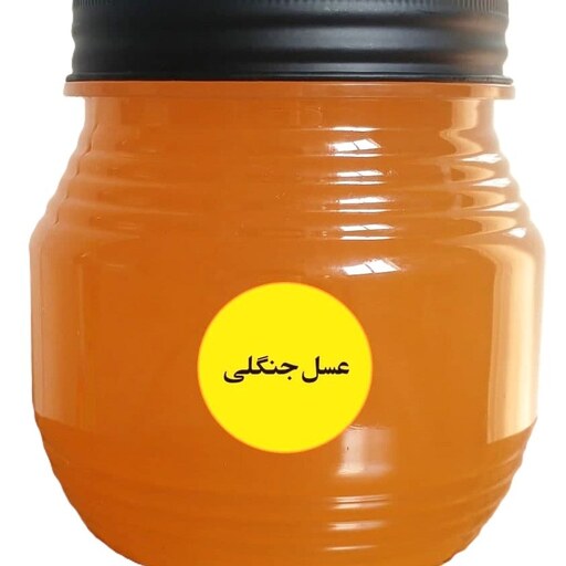 عسل جنگلی، برداشت نارنجستان (450 گرمی)