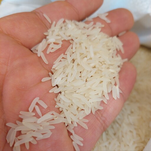 برنج  فجر سوزنی اعلاء علی آباد کتول- بسیار خوشپخت.تک کشت.