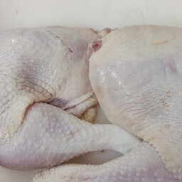 ران مرغ گرم کشتار روز(هرکیلو)
