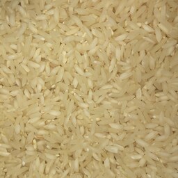 برنج خوش پخت جواهری گیلان پرمحصول بسته بندی 20 کیلوگرمی