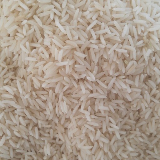 برنج عنبر بو گیلان بسته بندی ده کیلوگرمی