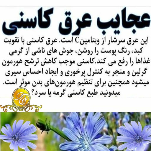 عرق کاسنی سنگین اعلا  کاشان 2 لیتر ی تقویت کبد