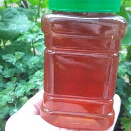 عسل سرخ گیاهان دارویی،فاقد تغذیه کمکی و مصنوعی