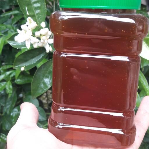 عسل سرخ گیاهان دارویی،فاقد تغذیه کمکی و مصنوعی