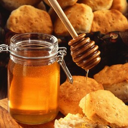 عسل داریم تا عسل یک کیلو گرم عسل طبیعی بهاره درجه یک به شرط آزمایش مستقیم از زنبوردار
