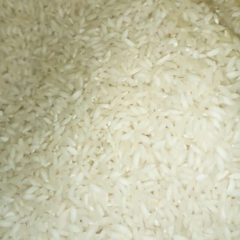 برنج عنبر بو شوشتر 