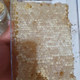 موم عسل طبیعی (یک کیلویی) ارسال رایگان
