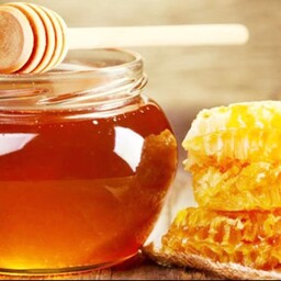 عسل طبیعی گون درجه یک (تضمینی) 1 کیلو گرمی بدون شکر  آجیل و خشکبار روناس