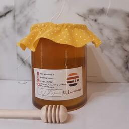 عسل گون طبیعی(یک کیلویی)