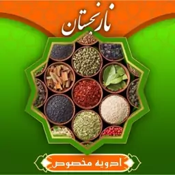 ادویه باربیکیو 24 قلم (100گرمی) نارنجستان