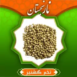 تخم گشنیز درجه 1 (170گرم)نارنجستان