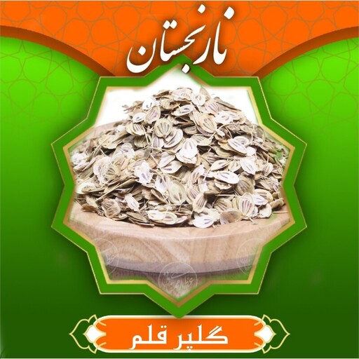 گلپر قلم درجه 1 (100گرم) نارنجستان