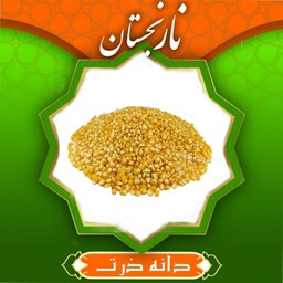 دانه ذرت خام( پاپ کورن) اعلا (300گرم) نارنجستان