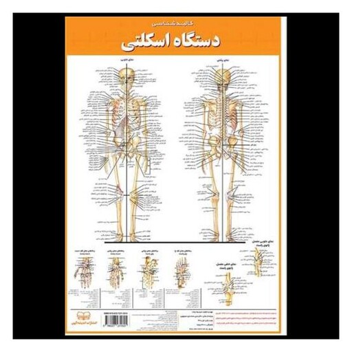 کتاب کالبد شناسی اسکلتی