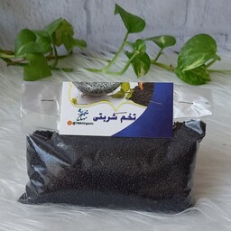 تخم شربتی درشت 100گرم (سرشار از کلسیم) 