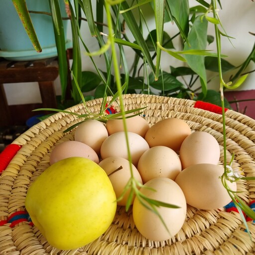 تخم مرغ محلی خوش رنگ خوش مزه و با کیفیت  و صد در صد  ارگانیک در بسته 6عددی