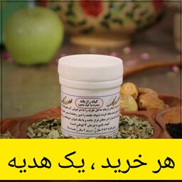 جامع رازیانه ( بهبود امراض ریه )