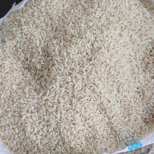 برنج چمپا